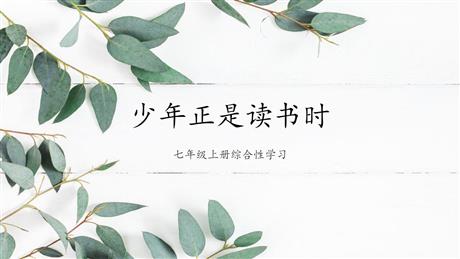 《少年正是读书时》PPT教学课件下载