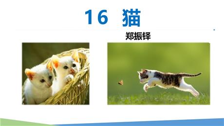 《猫》PPT免费优秀课件
