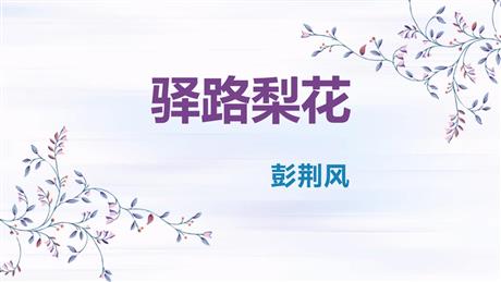 《驿路梨花》PPT课文课件下载