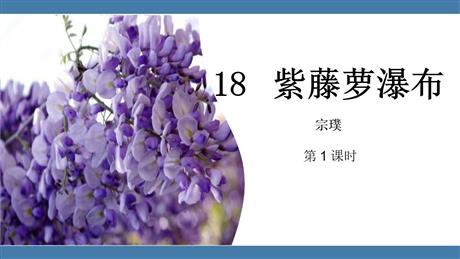 《紫藤萝瀑布》PPT教学课件(第1课时)