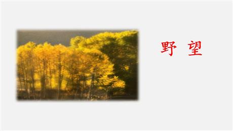 《野望》PPT优质课件下载