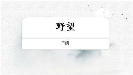 《野望》PPT精品课件下载