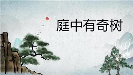 《庭中有奇树》课外古诗词诵读PPT课件下载