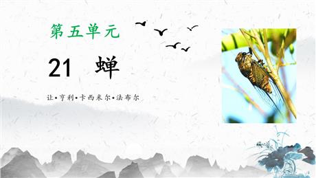 《蝉》PPT优质教学课件