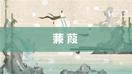 《蒹葭》PPT精品课件下载