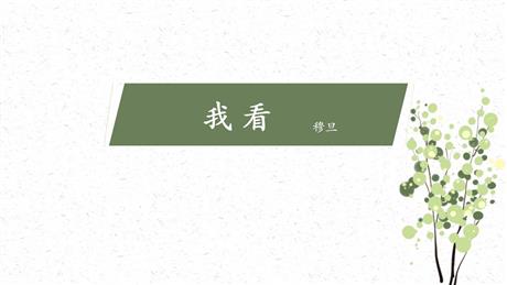 《我看》PPT精品教学课件