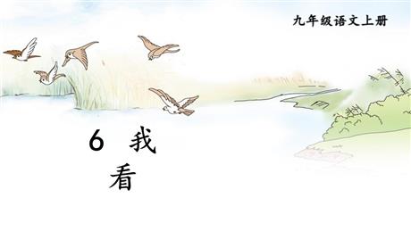 《我看》PPT优质教学课件