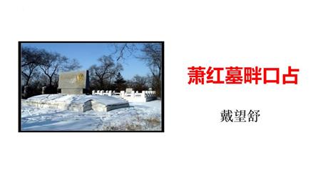 《萧红墓畔口占》PPT免费下载