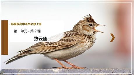《致云雀》PPT免费课件