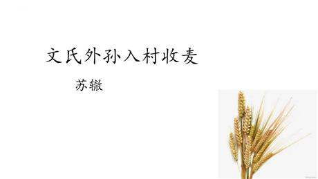 《文氏外孙入村收麦》PPT教学课件