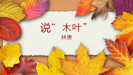 《说“木叶”》PPT教学课件下载