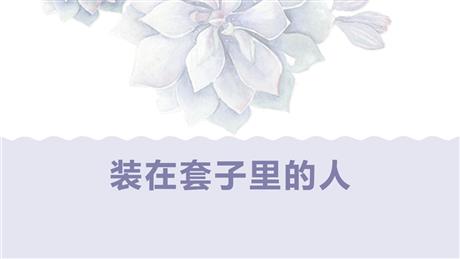 《装在套子里的人》PPT优秀课件