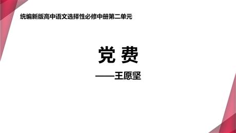 《党费》PPT课件