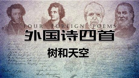 《树和天空》PPT教学课件