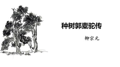 《种树郭橐驼传》PPT下载
