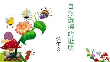 《自然选择的证明》PPT下载