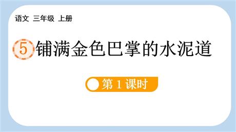 《铺满金色巴掌的水泥道》PPT课件下载(第1课时)