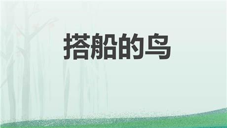 《搭船的鸟》PPT免费教学课件