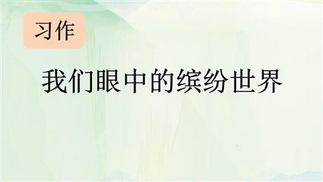 《习作：我们眼中的缤纷世界》PPT精品课件