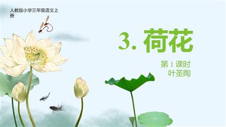 《荷花》PPT免费下载(第1课时)