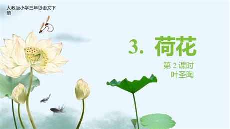 《荷花》PPT免费下载(第2课时)