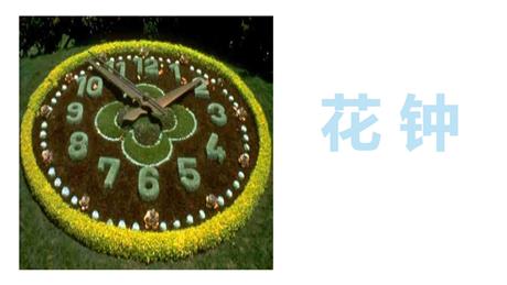 《花钟》PPT免费课件下载