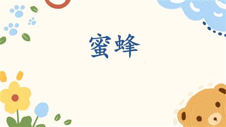 《蜜蜂》PPT免费课件下载