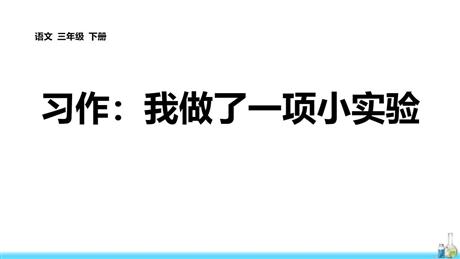 《我做了一项小实验》PPT免费教学课件
