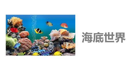 《海底世界》PPT免费教学课件