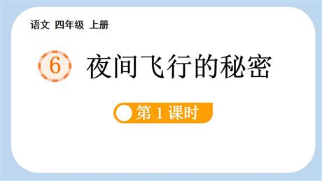 《夜间飞行的秘密》PPT教学课件(第1课时)
