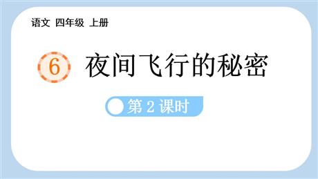 《夜间飞行的秘密》PPT教学课件(第2课时)