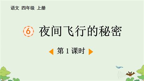 《夜间飞行的秘密》PPT免费课件(第1课时)