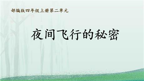 《夜间飞行的秘密》PPT免费课件