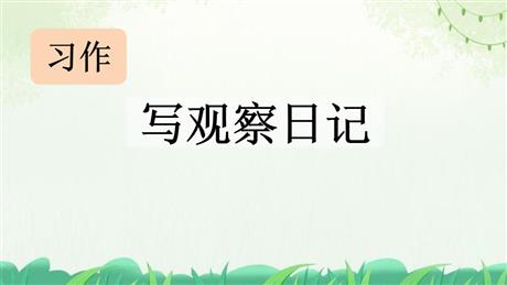 《写观察日记》PPT免费课件