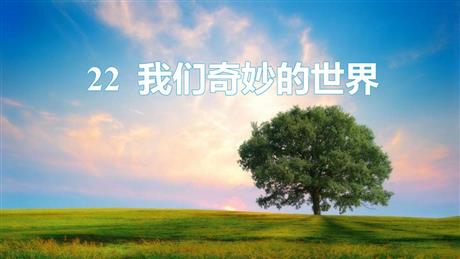 《我的奇思妙想》PPT精品课件下载