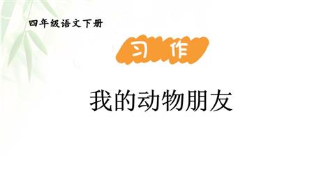 《我的动物朋友》PPT免费下载