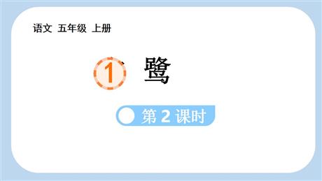 《白鹭》PPT课件下载(第2课时)