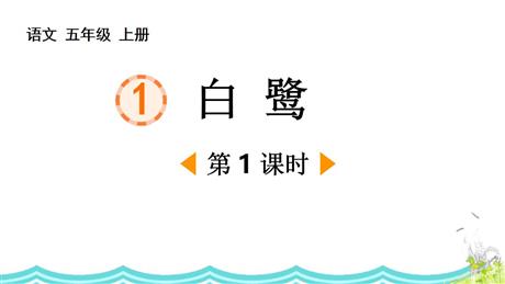 《白鹭》PPT免费课件(第1课时)