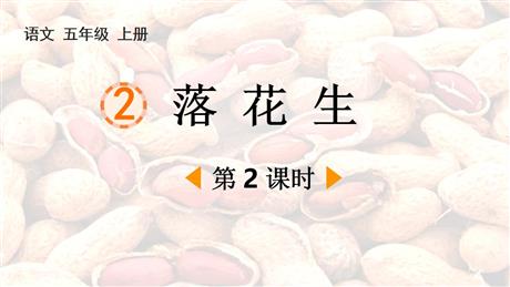 《落花生》PPT免费课件(第2课时)