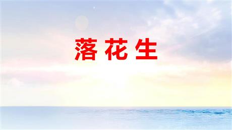 《落花生》PPT免费优质课件