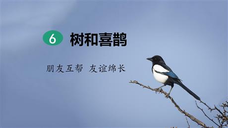 《树和喜鹊》PPT课文课件下载