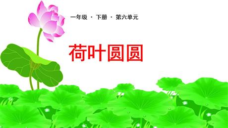 《荷叶圆圆》PPT优质课件下载