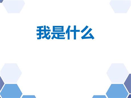 《我是什么》PPT优质教学课件