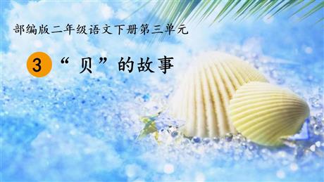 《“贝”的故事》PPT优秀课件下载
