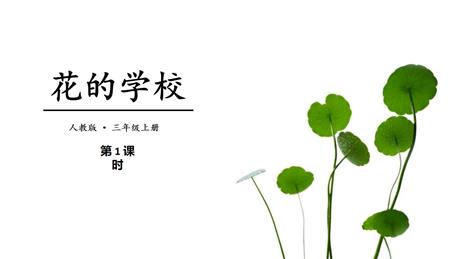 《花的学校》PPT教学课件(第1课时)