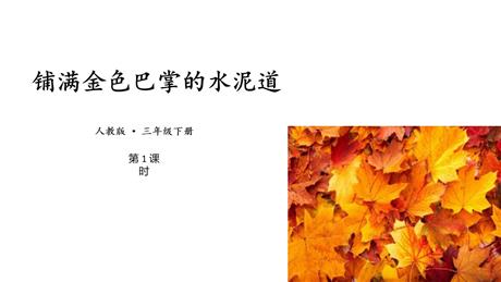 《铺满金色巴掌的水泥道》PPT免费课件(第1课时)