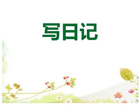 《习作：写日记》PPT精品课件