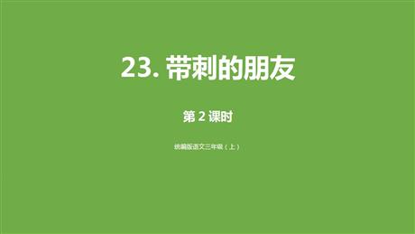 《带刺的朋友》PPT下载(第2课时)