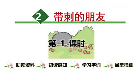 《带刺的朋友》PPT教学课件(第1课时)