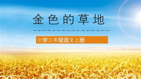 《金色的草地》PPT优质教学课件